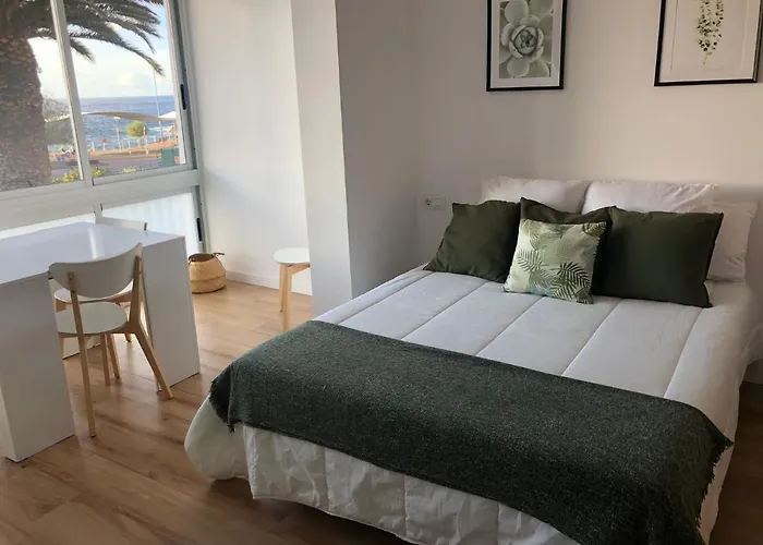 Green Coast Suite