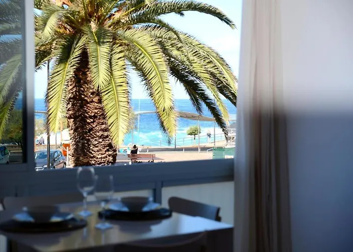 Green Coast Suite